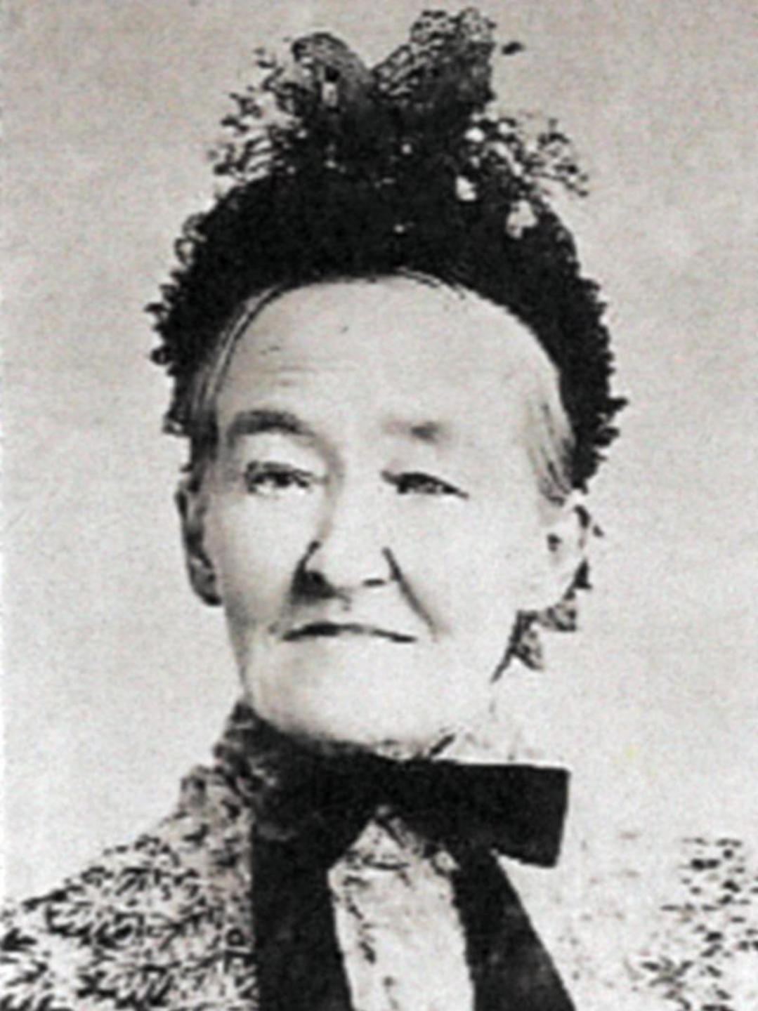 Angelina Calkins (1819 - 1901) Profile